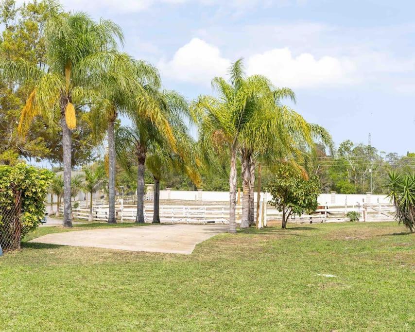 Tampa Bay Oasis Apartment ทาร์พอนสปริงส์ ภายนอก รูปภาพ